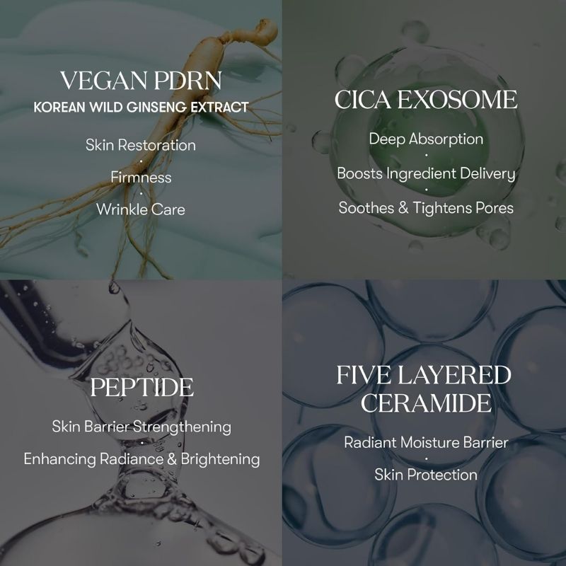 VT COSMETICS PDRN Cica Exosome Ampoule, Firming Serum with Peptide & Ceramide for Anti-Aging, Wrinkle Care, Plumping, Hydration & Radiant Glow, For All Skin Types, Korean Skincare