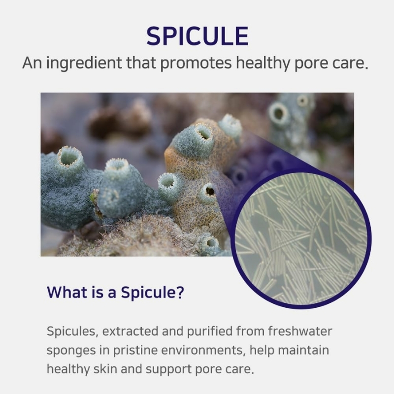 Spicule Collagen Shot 300 Serum 40ml - Image 11