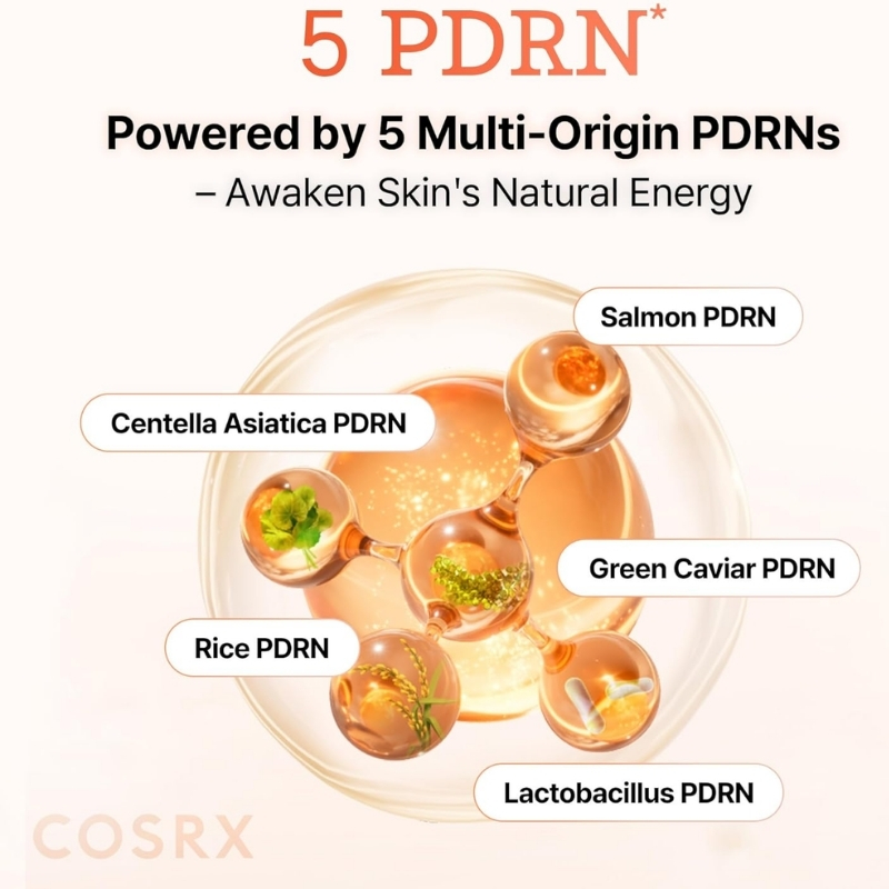 5 PDRN B5 Vital Soothing Toner 280ml - Image 7